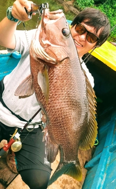 パプアンバスの釣果