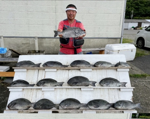 クチブトグレの釣果