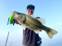 ブラックバスの釣果