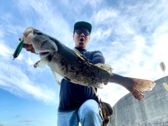 スズキの釣果