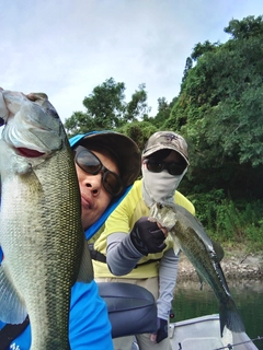 ブラックバスの釣果