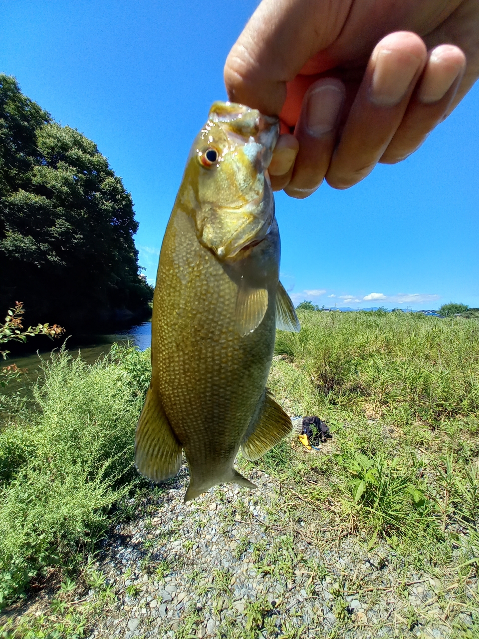 スモールマウスバス