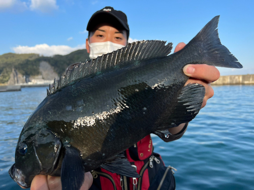 クチブトグレの釣果