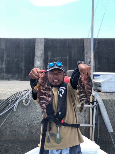 キジハタの釣果