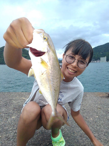 ショゴの釣果