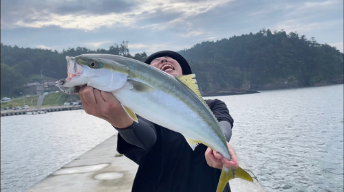 ブリの釣果