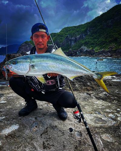 ワラサの釣果