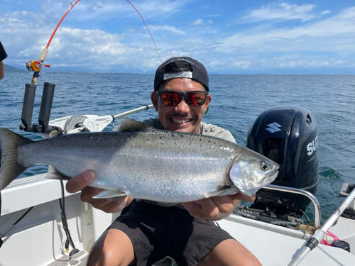 ビワマスの釣果