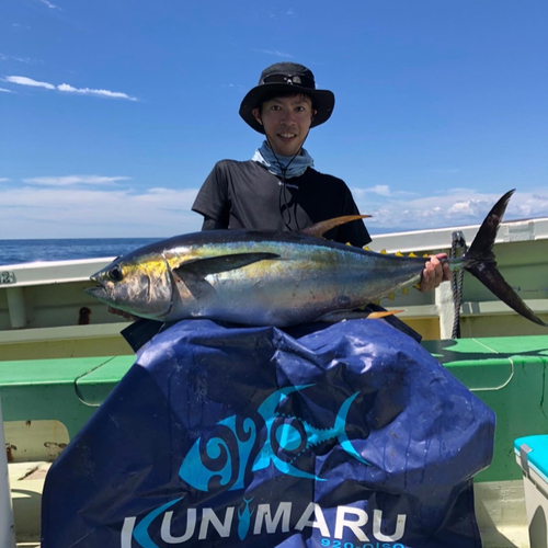 キハダマグロの釣果