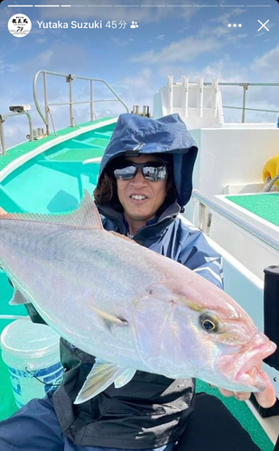 カンパチの釣果