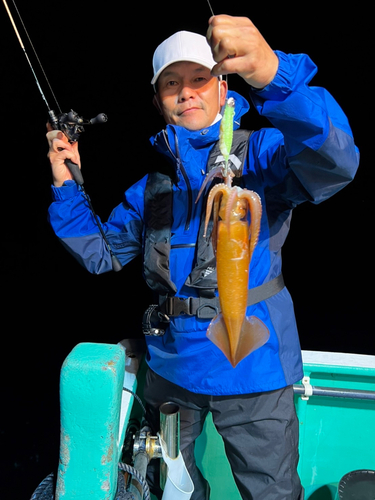 スルメイカの釣果