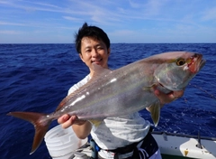 カンパチの釣果