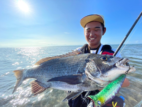 チヌの釣果