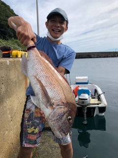 マダイの釣果