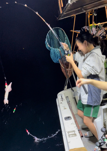 ケンサキイカの釣果