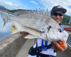 キチヌの釣果