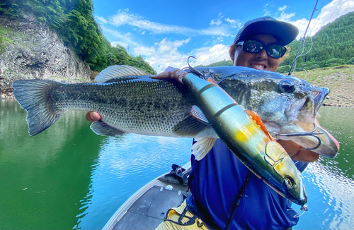 ブラックバスの釣果