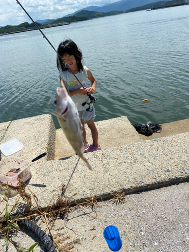 チャリコの釣果