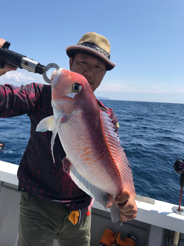 アマダイの釣果