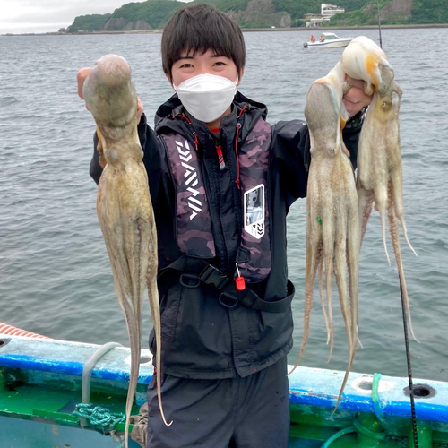 タコの釣果