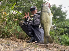 ブラックバスの釣果