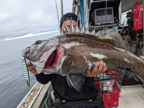 オオクチイシナギの釣果