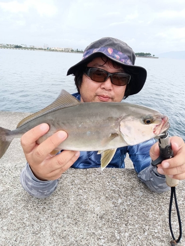 ショゴの釣果