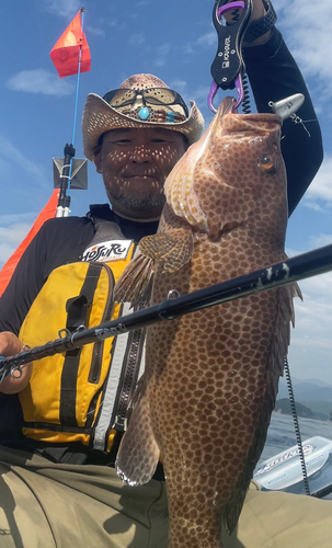 オオモンハタの釣果