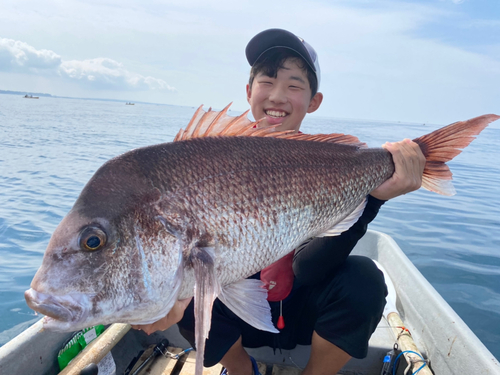 マダイの釣果