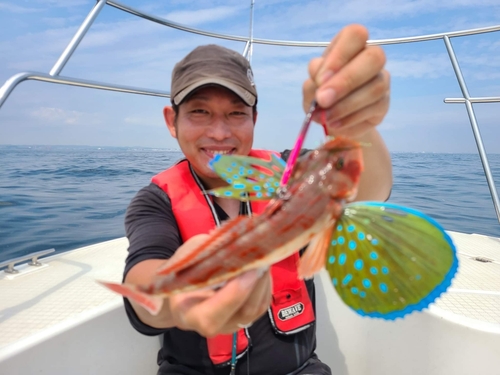 ホウボウの釣果