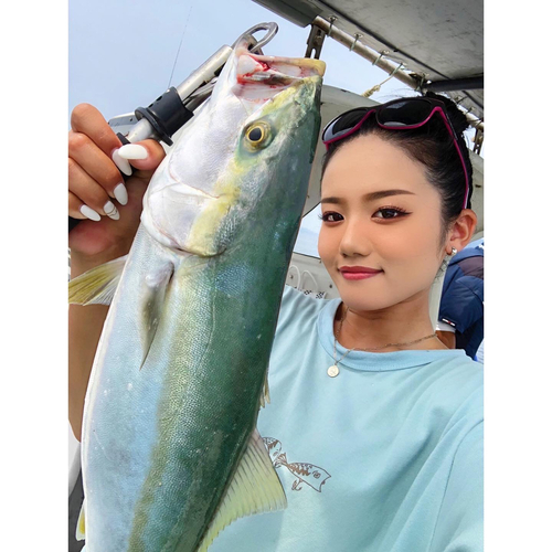 ハマチの釣果