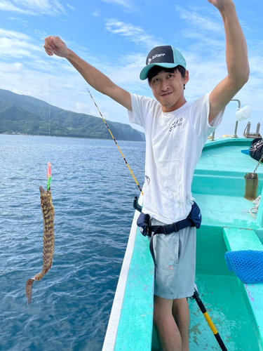 ウツボの釣果