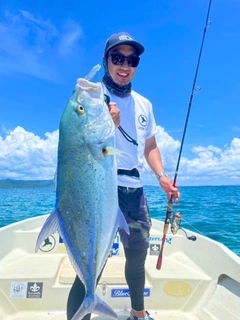 カスミアジの釣果