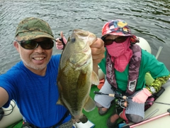 ブラックバスの釣果