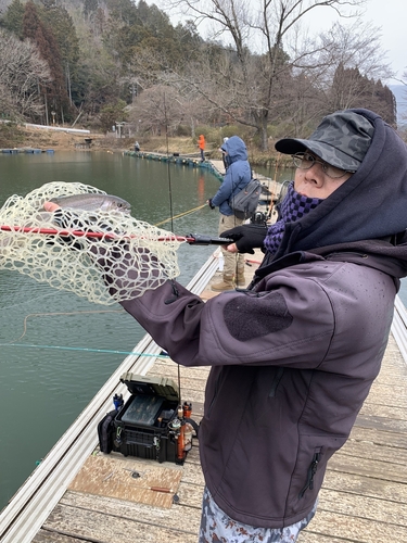 ニジマスの釣果