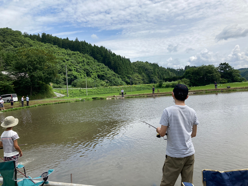 ニジマスの釣果