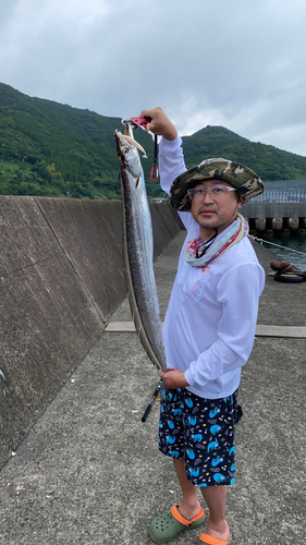 タチウオの釣果