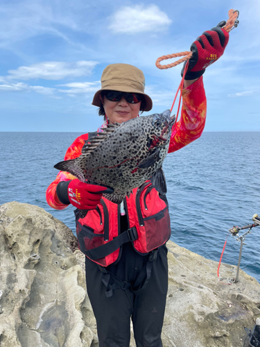 イシガキダイの釣果