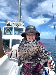 イシガキダイの釣果