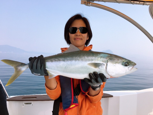 ハマチの釣果