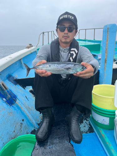 ソウダガツオの釣果