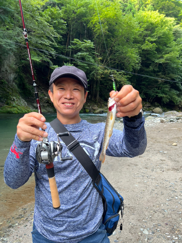 イワナの釣果