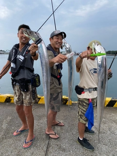 タチウオの釣果