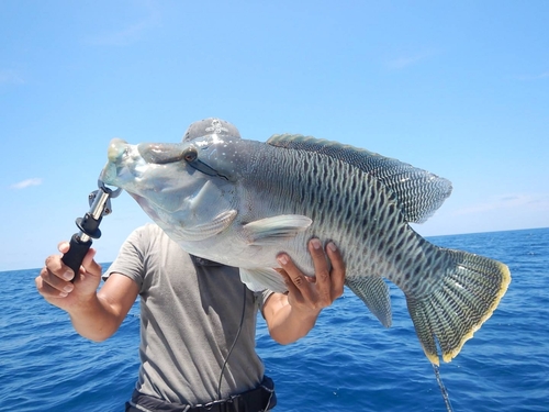 メガネモチノウオの釣果