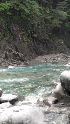 イワナの釣果