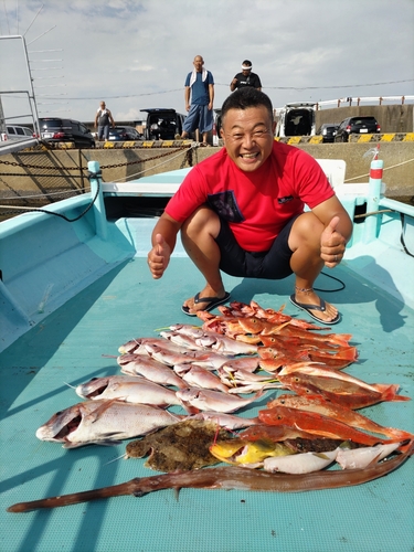 マダイの釣果