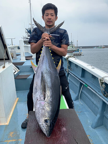 キハダマグロの釣果