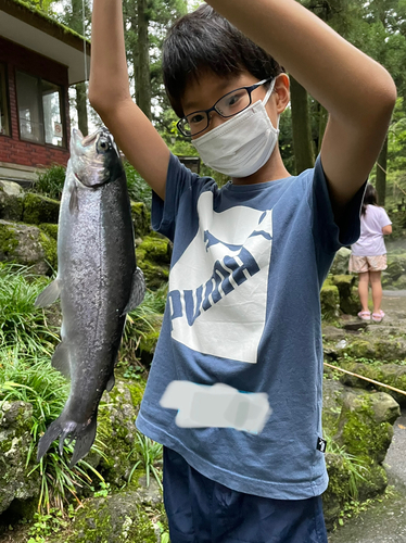 ニジマスの釣果