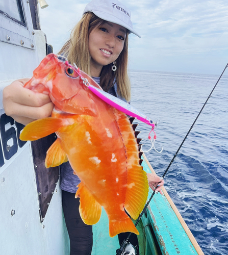 アカハタの釣果