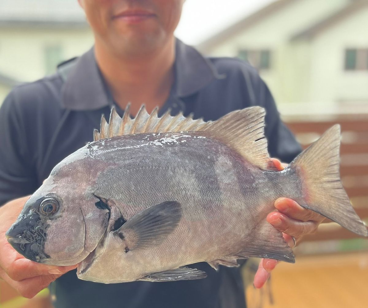 shioGさんの釣果 2枚目の画像